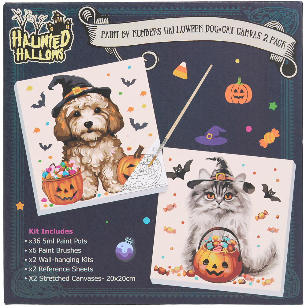 Pack of 2 Paint By Numbers Halloween Dog and Cat Canvases Image 7