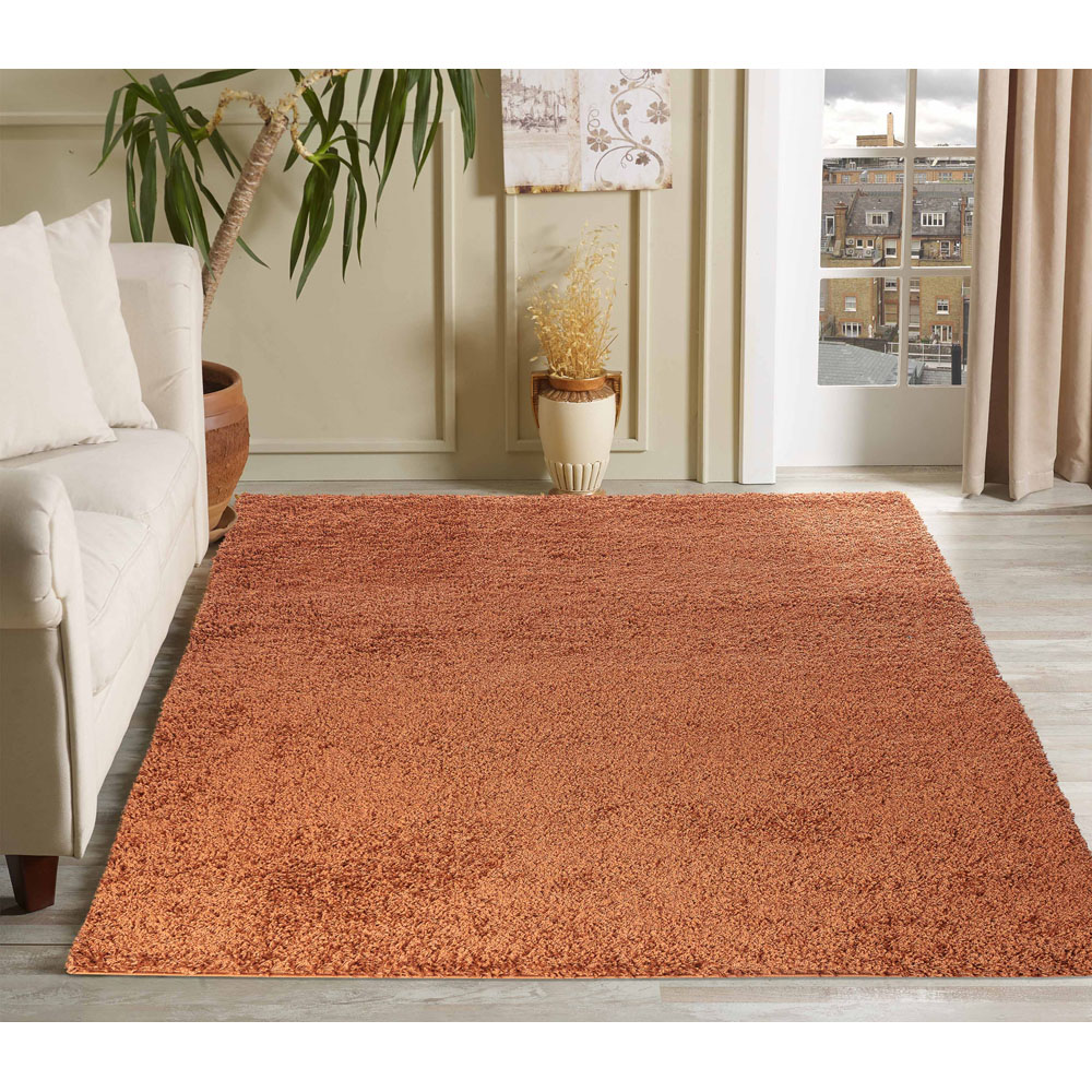 Desire Rugs Oxford Terracotta Plain Shaggy Rug 80 x 150cm Image 2