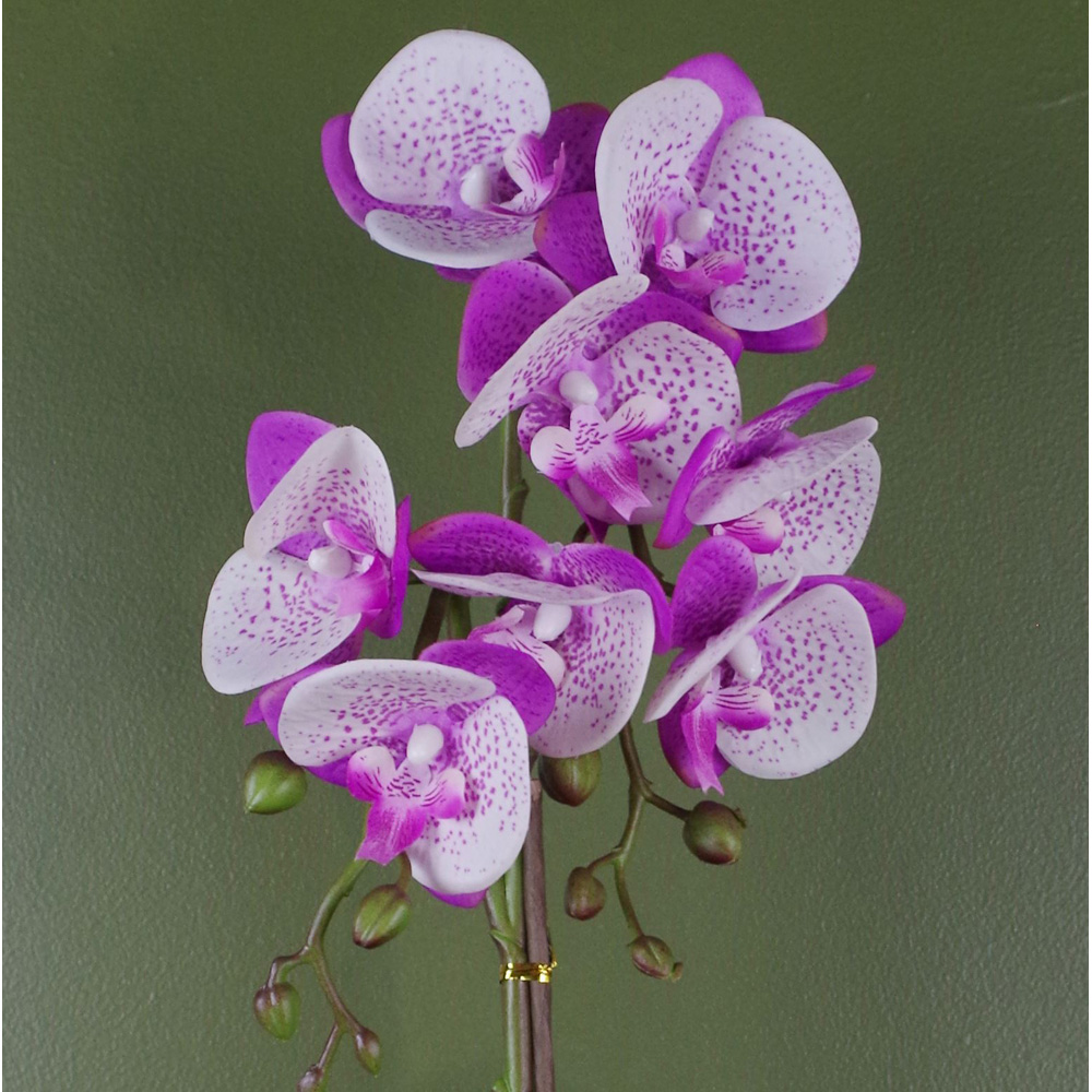 Botanik Purple White Phalaenopsis Orchid Artificial Plant in Gold Pot 50cm Image 3