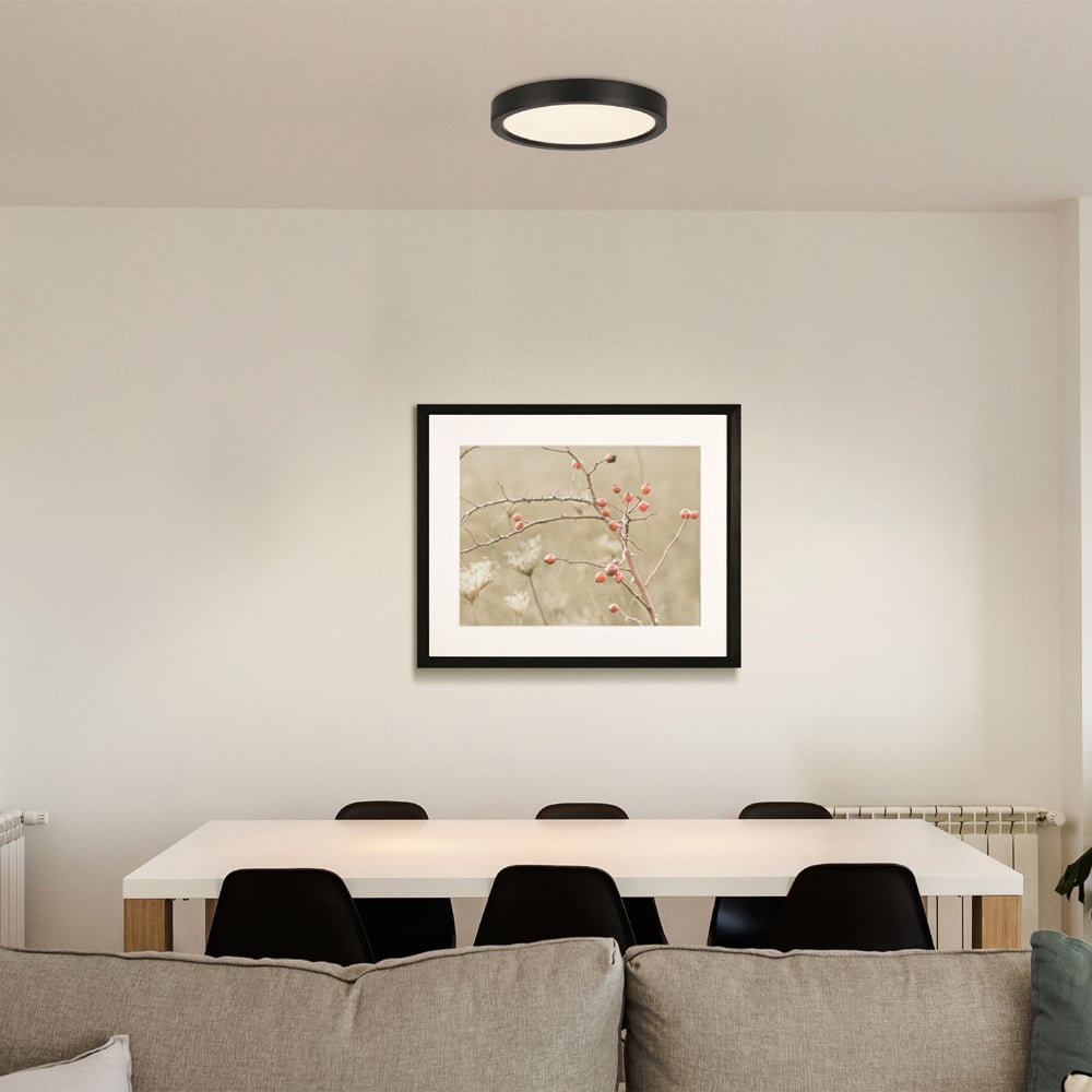 EGLO Idun-E LED Black Ceiling Light Image 2