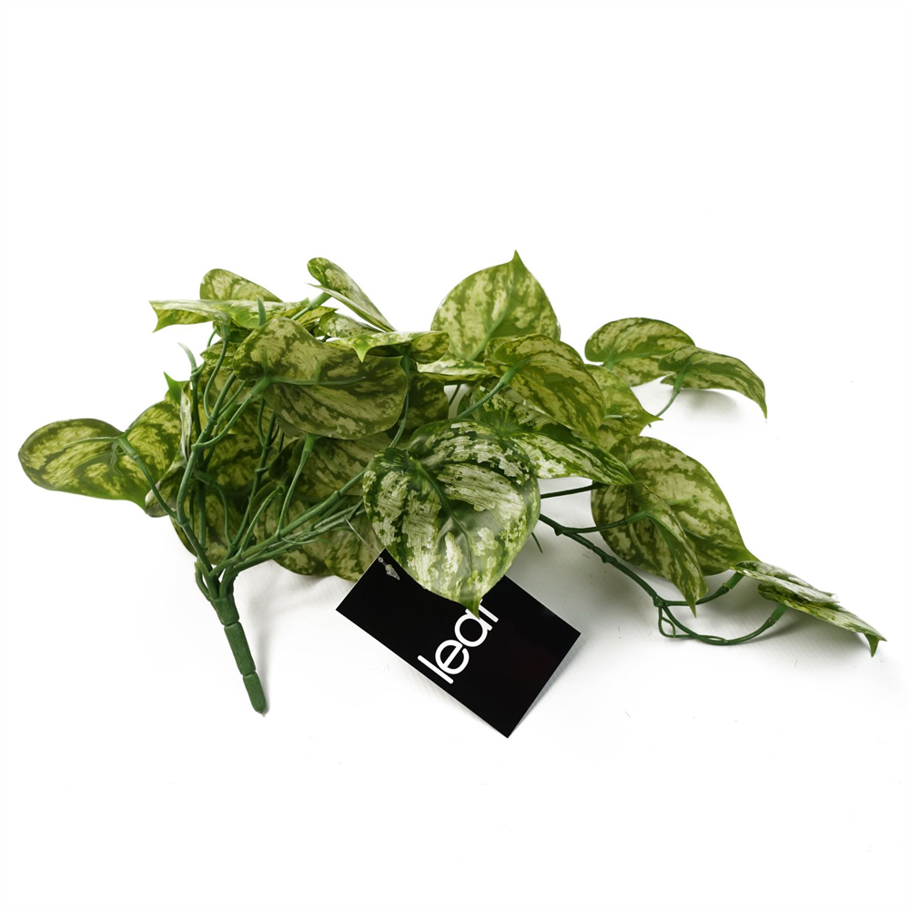 Leaf Light Green Trailing Artificial Plant 35cm Image 5