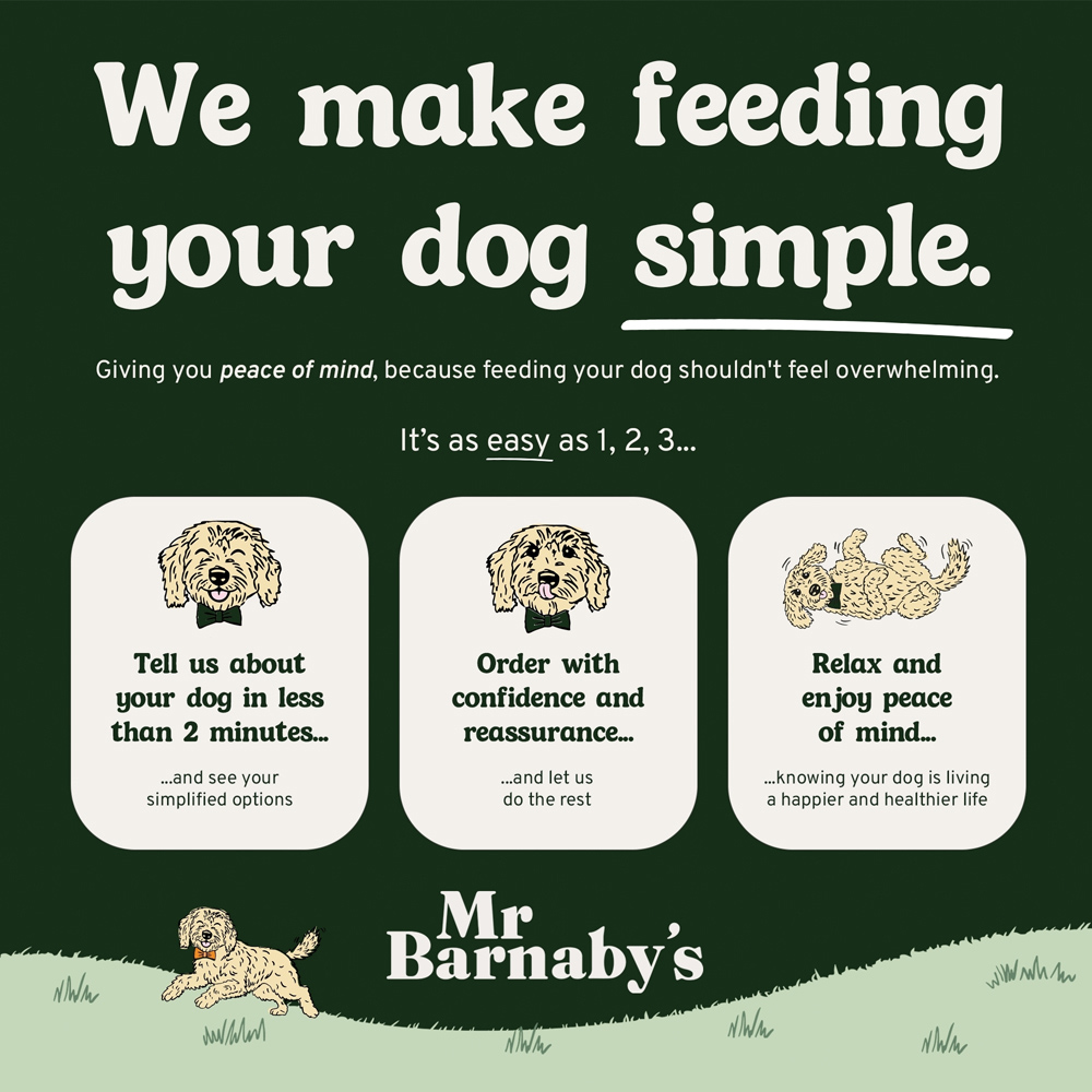 Mr Barnaby's Beef Dog Treat Bundle 80g 2 Pack Image 7