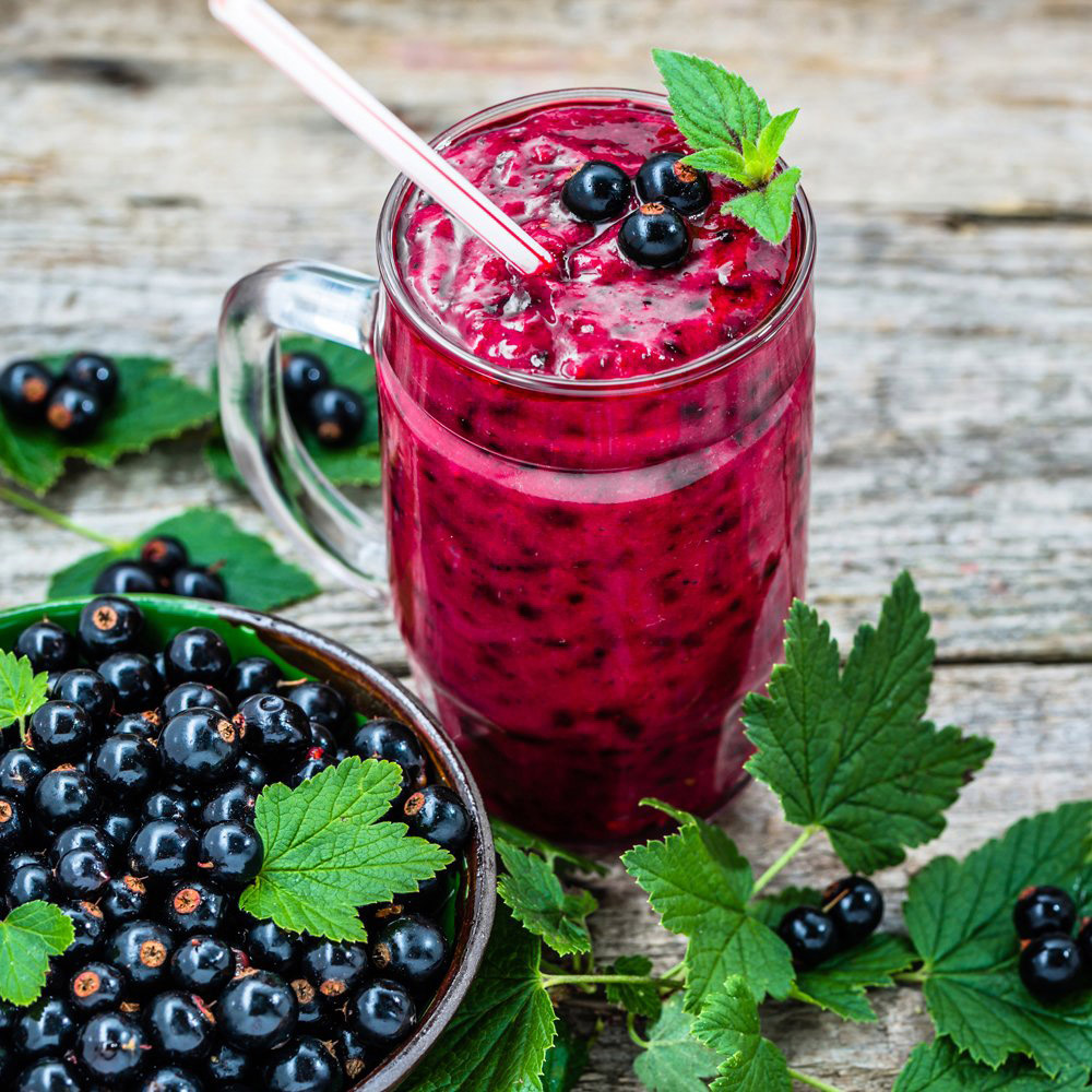 Thompson and Morgan Blackcurrant Ribes Ben Connan Plant Pot 3L Image 3