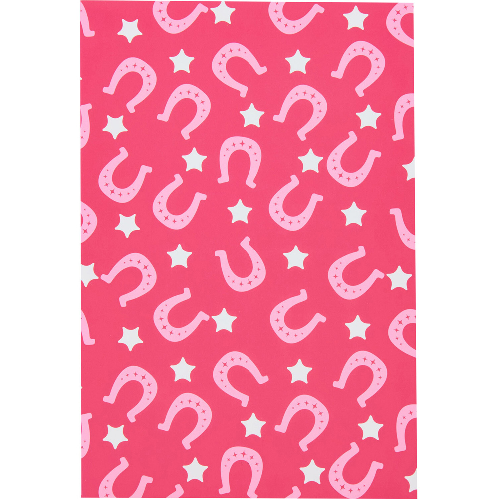 Pack of 3 Cowgirl Notebooks Image 3