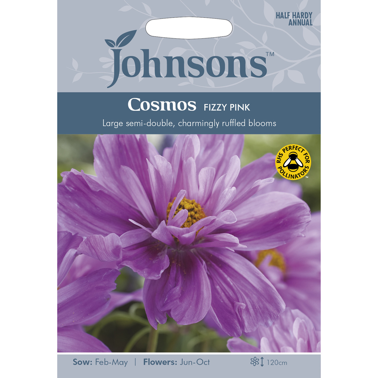 Johnsons Cosmos Fizzy Pink Flower Seeds Image 2