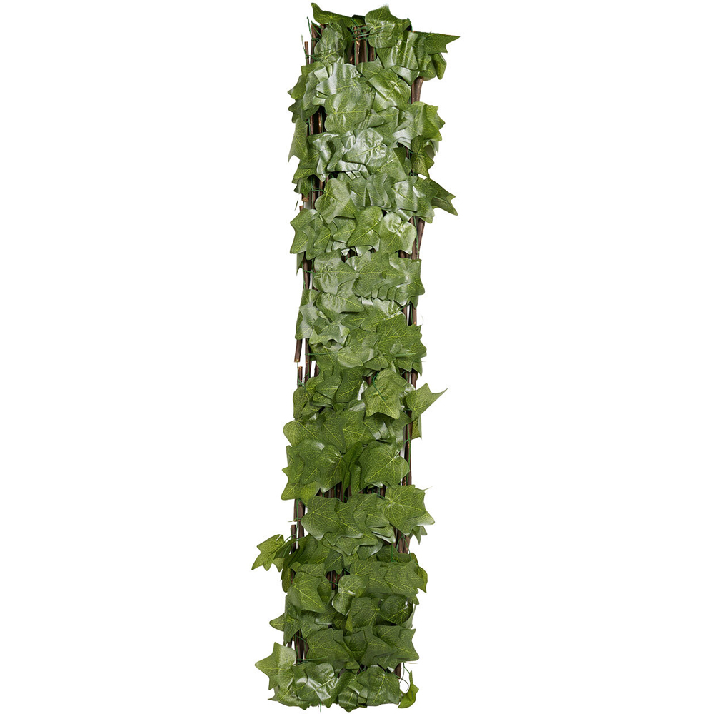 Expanding Ivy Leaf Trellis Image 4