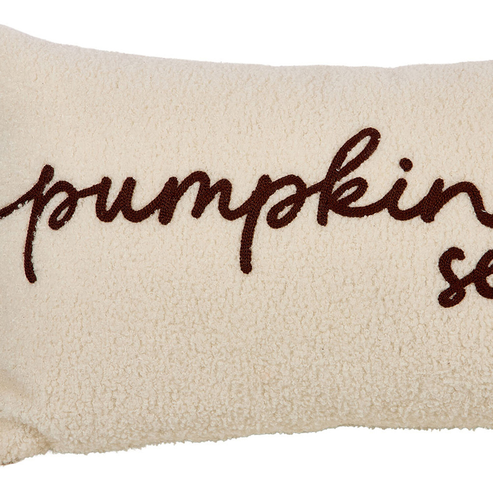 Pumpkin Season Cushion Neutral Image 2