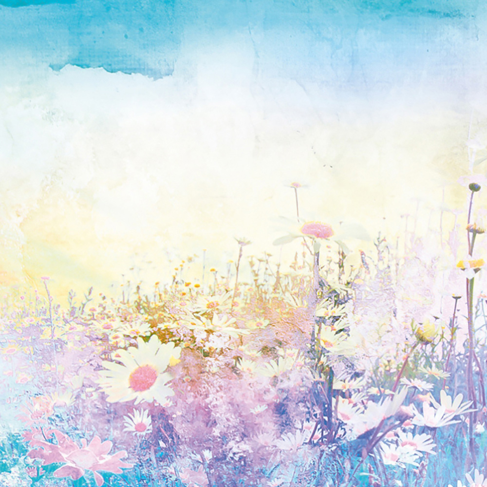 Origin Murals Daisy Meadow Purple Wall Mural Image 2
