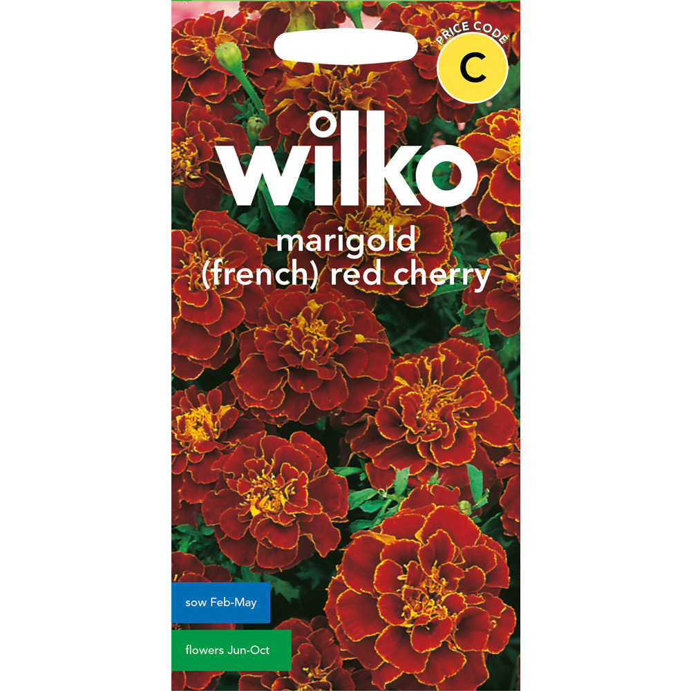 Marigold French Red Cherry Seeds Image 1