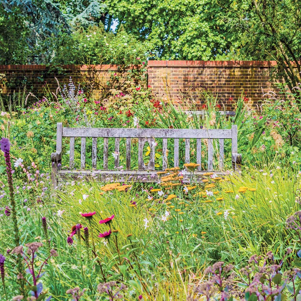 Harrowden Wildflower and Grass Meadowmat 5sqm Image 4