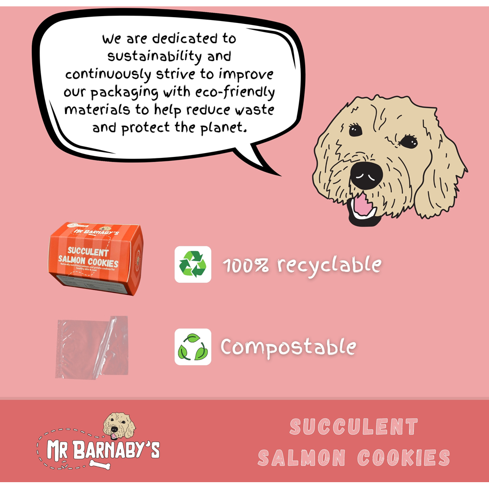 Mr Barnaby's Succulent Salmon Cookies Grain-Free Hypoallergenic Dog Treats 80g 2 Pack Image 7
