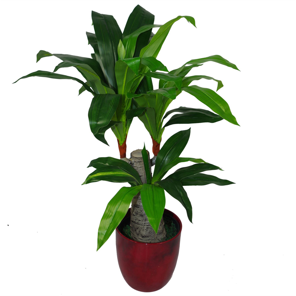 Leaf Tropical Dracaena Artificial Plant Pot 75cm Image 2
