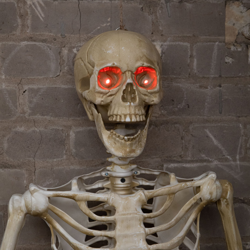 Samuel Alexander Light Up Posable Full Body Skeleton Halloween Decoration 5ft Image 5