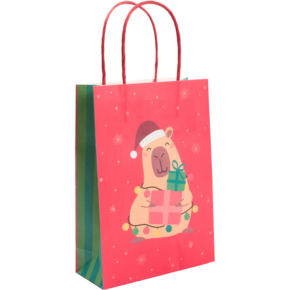 Pack of 10 Christmas Capybara Party Bags Image 4