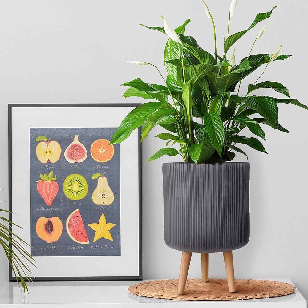 wilko Ribbed Black Indoor Cylinder Plant Pot with Legs 36cm Image 6