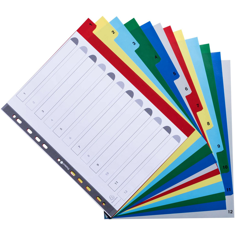 Exacompta A4 Maxi Bright Assorted Colour Polypropylene 1-12 Divider 20 Pack Image 4
