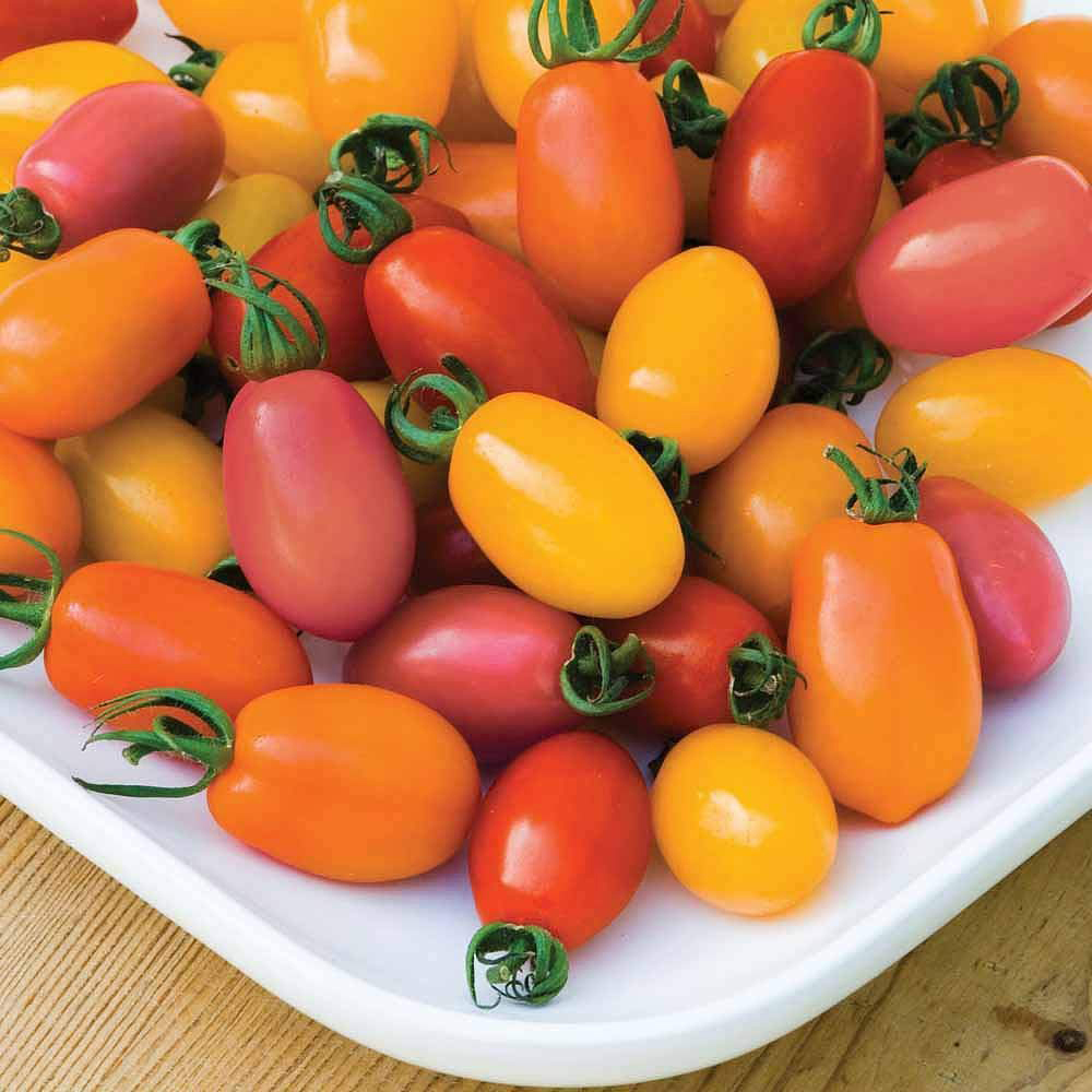 Thompson and Morgan Tomato Rainbow Blend F1 Hybrid Seeds Image 3
