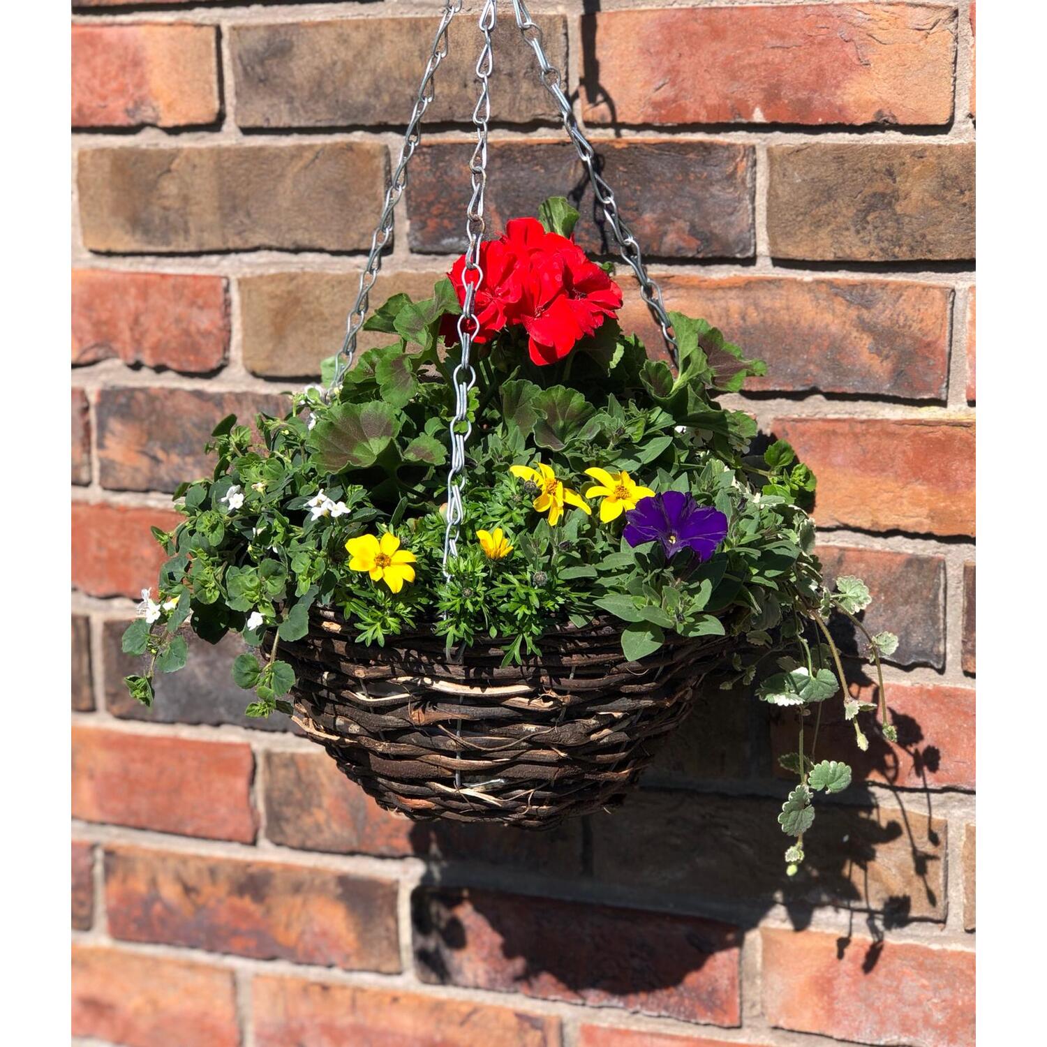 Summer Mixed Rattan Hanging Basket - Multicolour Image 2
