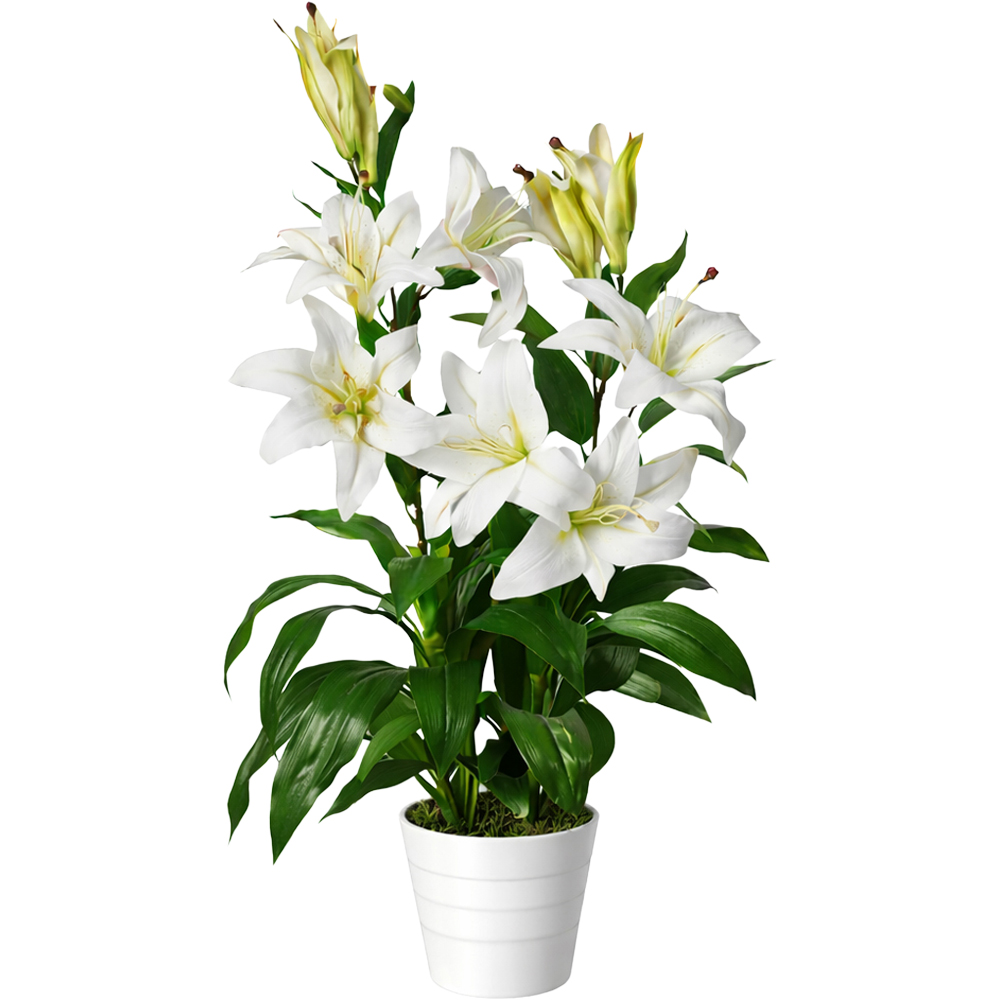 Leaf White Stargazer Lilly Artificial Plant in Plastic Pot 3ft Image 1