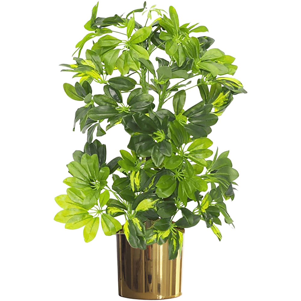 Leaf Arboricola Gold Capella Artificial Plant in Gold Metal Planter 2ft Image 1