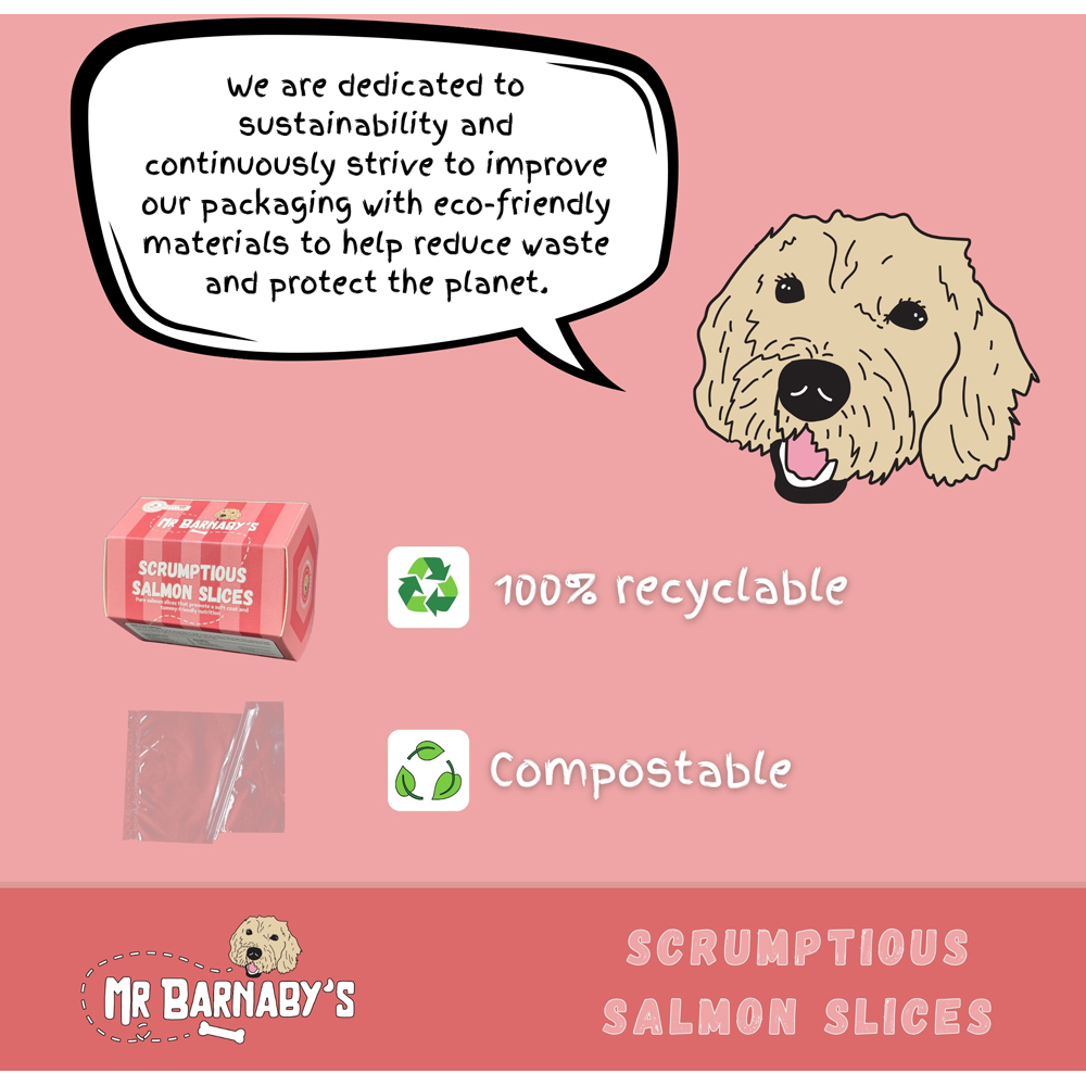 Mr Barnaby's Scrumptious Salmon Slices Dog Treats 2 Pack Image 7