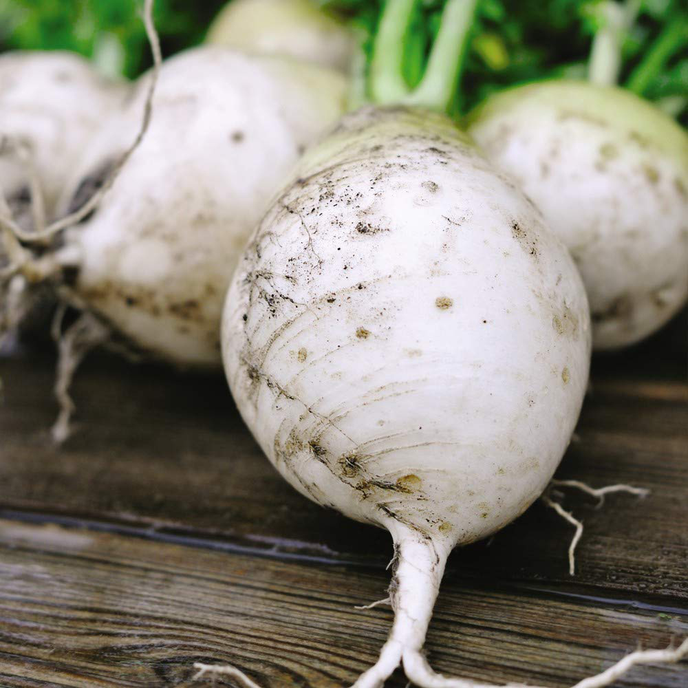 Thompson & Morgan Turnip Snowball Seed Packet Image