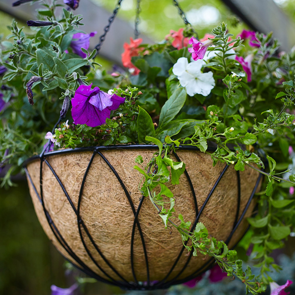 Samuel Alexander Black Lattice Metal Hanging Basket 35cm 2 Pack Image 4