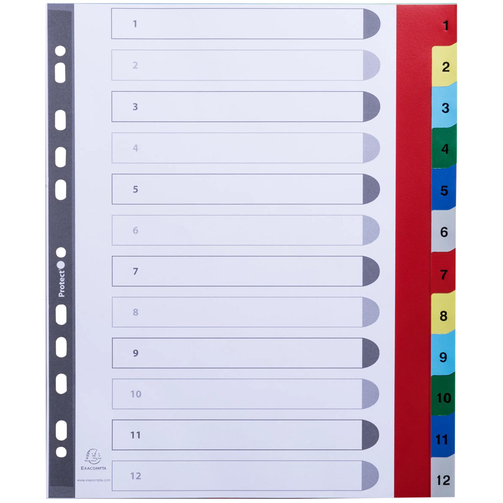 Exacompta A4 Maxi Bright Assorted Colour Polypropylene 1-12 Divider 20 Pack Image 2