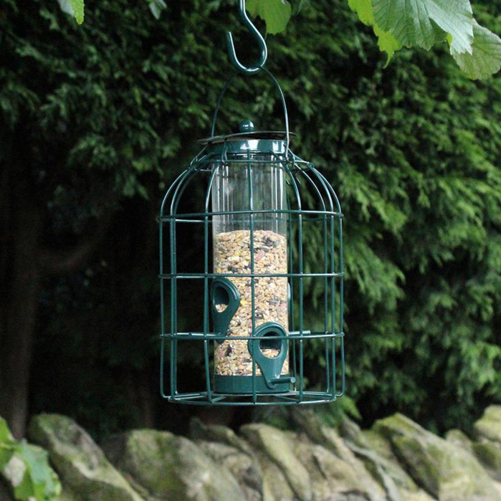 Natures Market Wild Bird Seed Feeder Cage with Guard Image 2