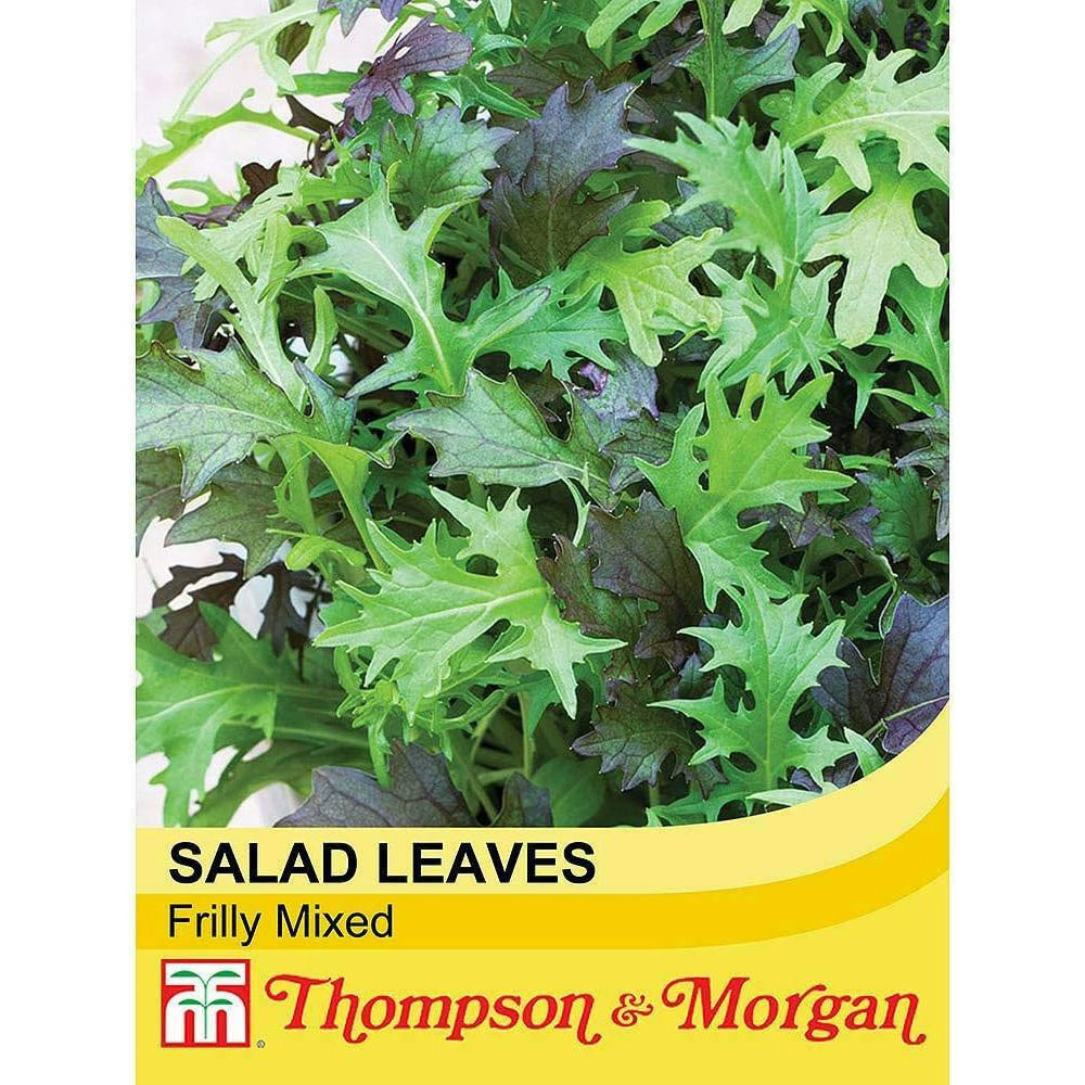 Thompson and Morgan Salad Leaves Frilly Mixed Seeds Image 2
