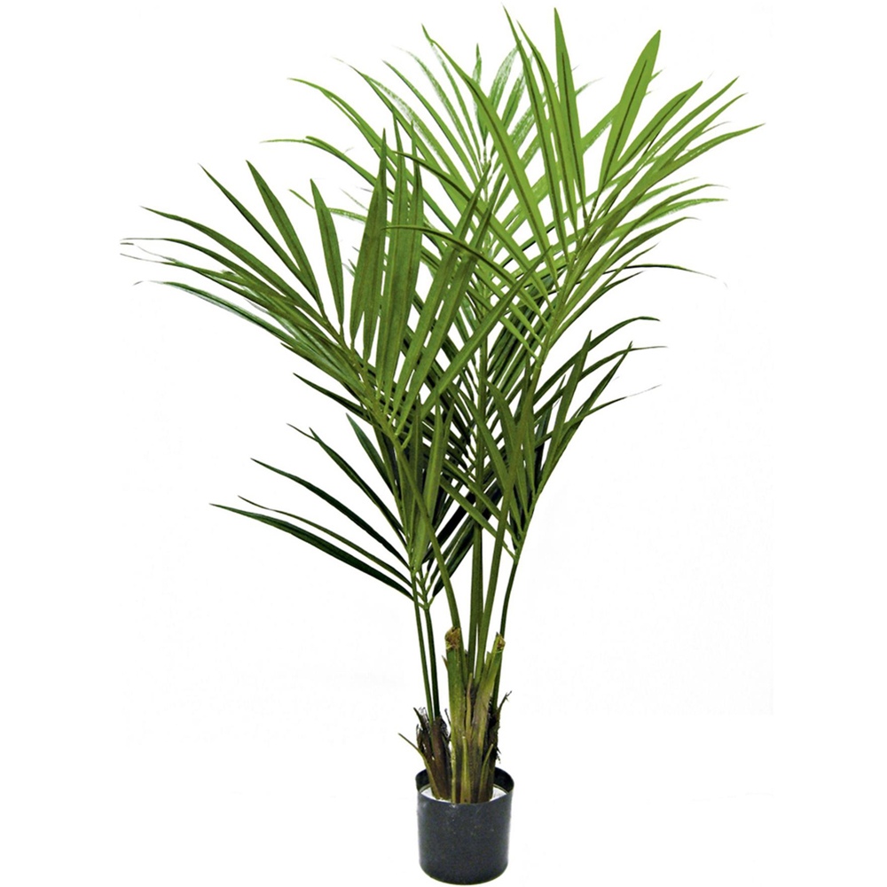 Botanik Kentia Palm Artificial Tree in Pot 5ft Image 1