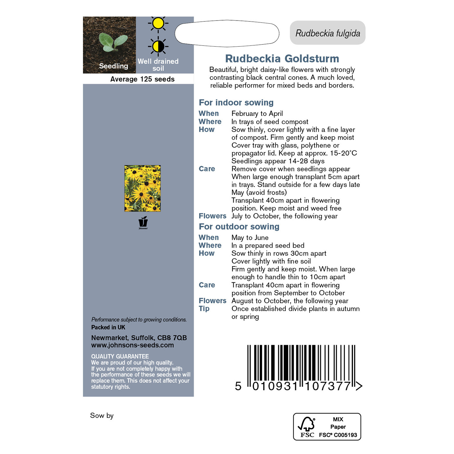 Johnsons Pack of Goldsturm Rudbeckia Flower Seeds Image 2