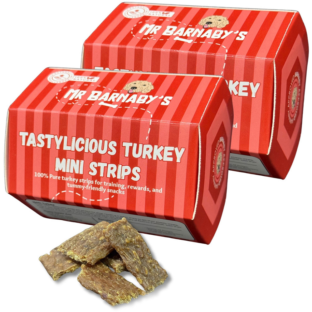 Mr Barnaby's Tastylicious Turkey Mini Strips Grain-Free Hypoallergenic Dog Treats 100g 2 Pack Image 1
