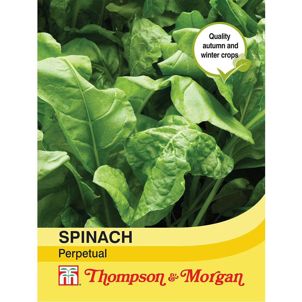 Thompson & Morgan Spinach Perpetual Seeds Image 2