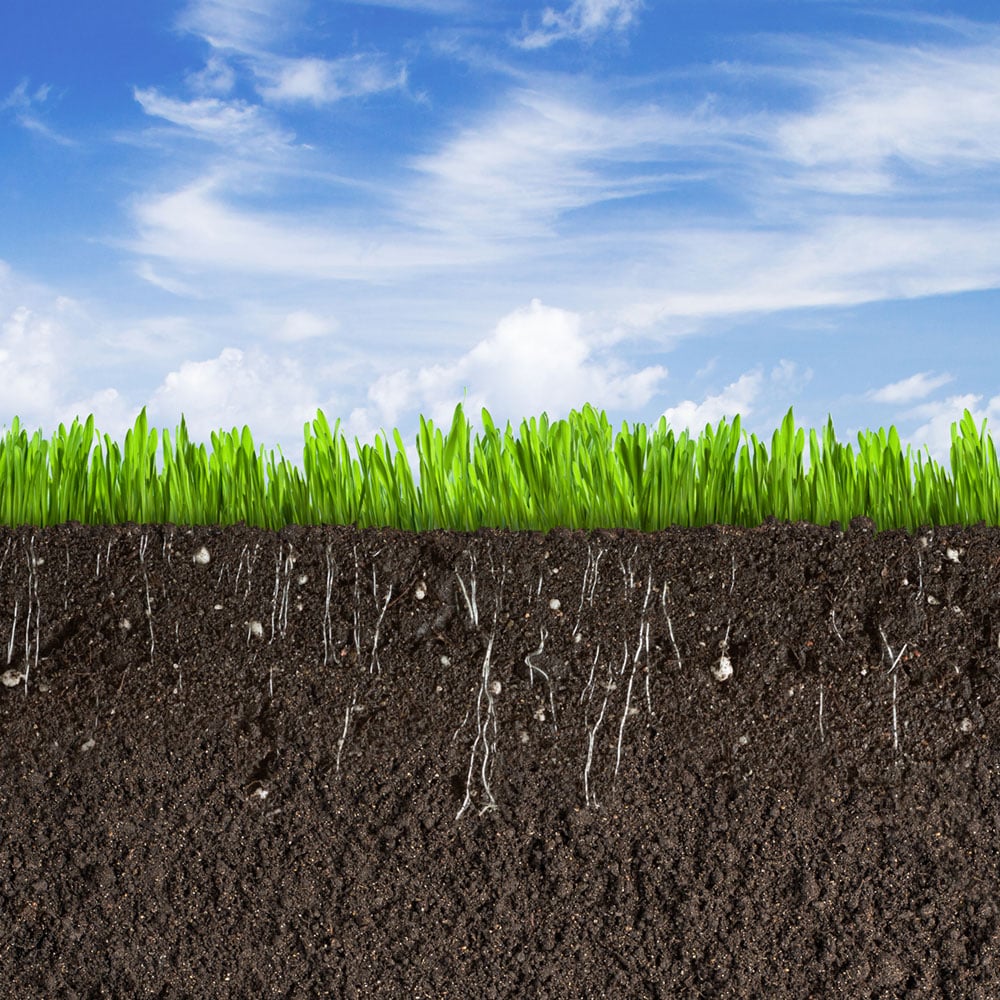 Harrowden Rapid Roots Pre Turfing Lawn Feed Image 2