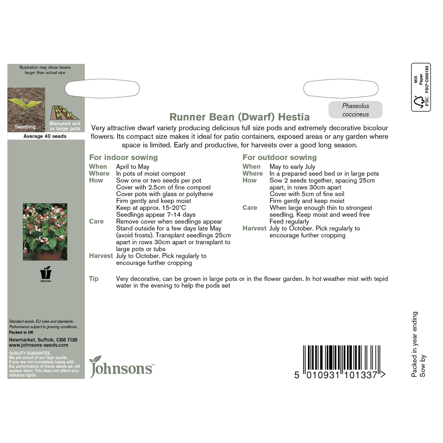 Pack of Dwarf Hestia Runner Bean Seeds Image 2