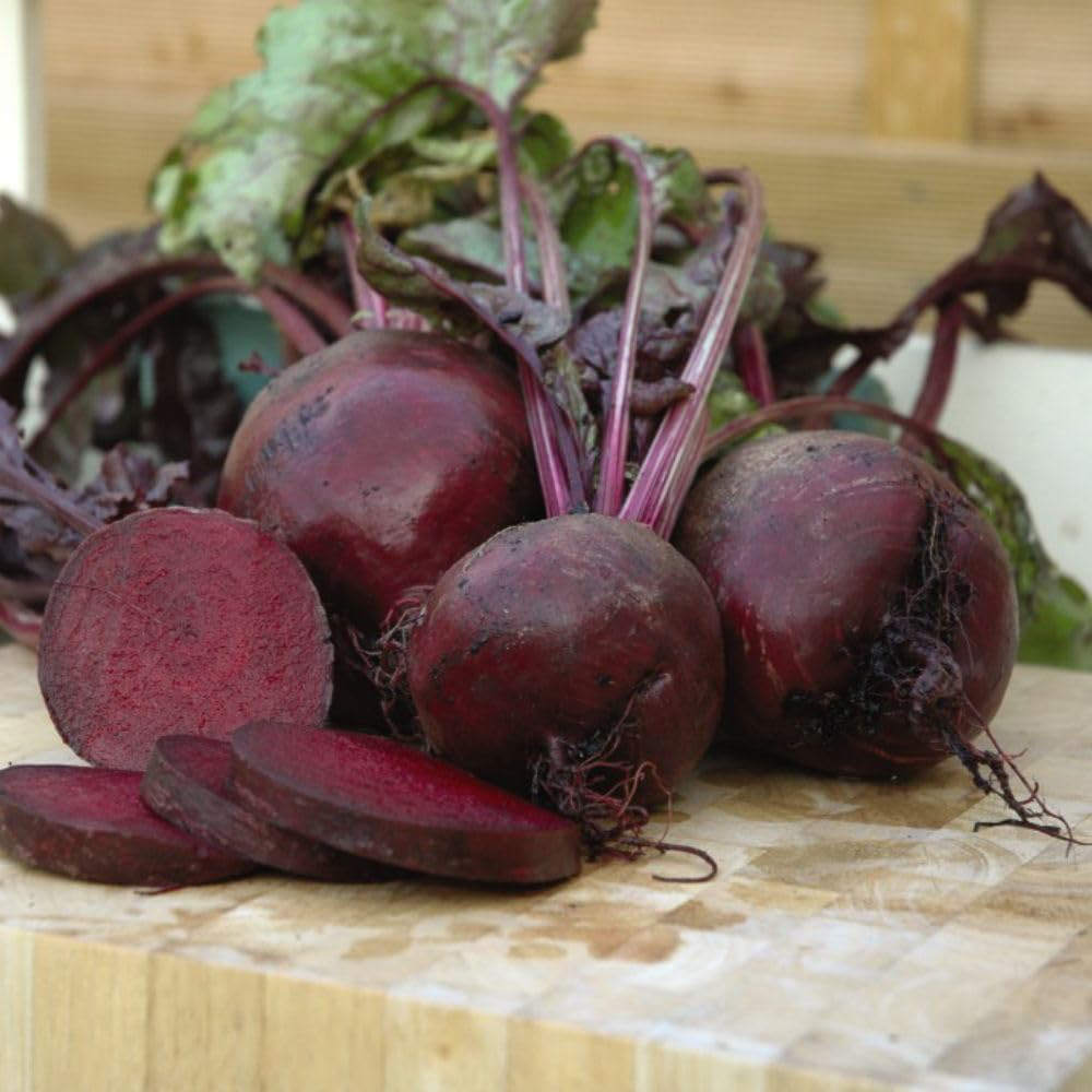Thompson & Morgan Beetroot Boltardy Seeds Image 1