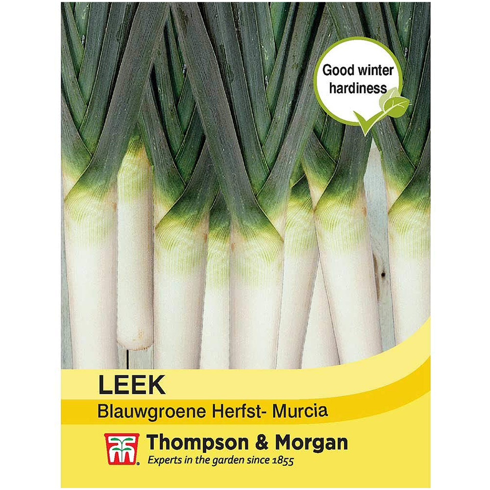 Thompson & Morgan Leek Murcia Seeds Image 2