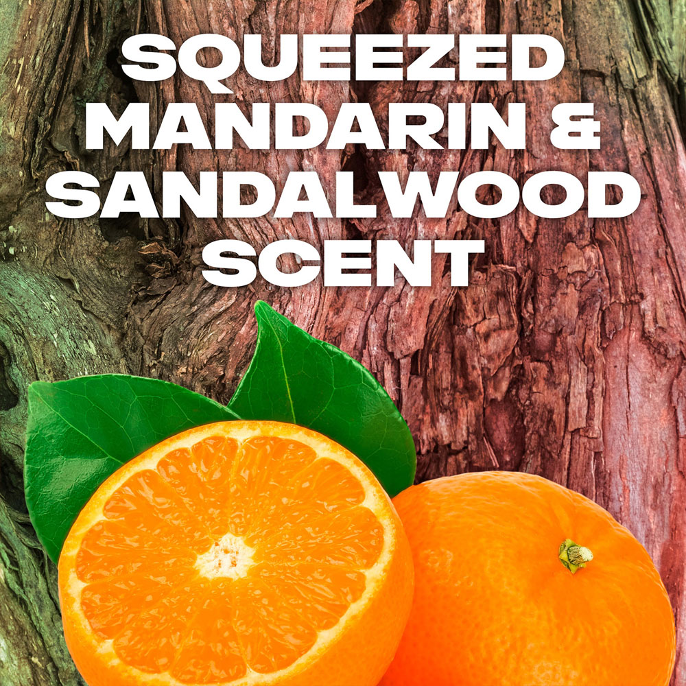 Lynx Africa 48 Hours Anti Sweat Protection Anti-Perspirant Roll On 50ml 18 Pack Image 9