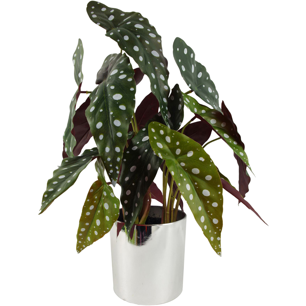 Leaf Begonia Maculata Artificial Plant Pot 40cm Image 1
