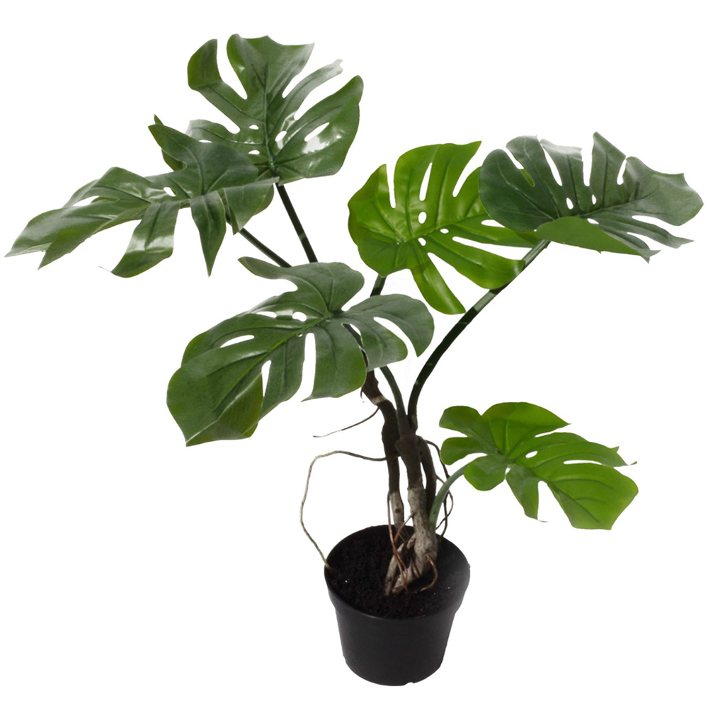 Botanik Monstera Cheese Artificial Plant in Pot 60cm Image 1