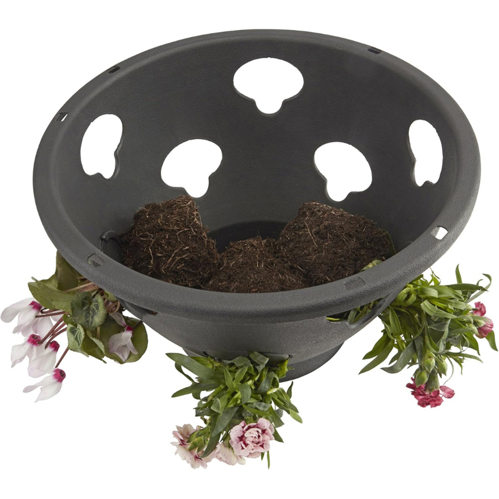 Thompson and Morgan BloomAround Garden Flower Hanging Plant Pot Baskets with Chains Image 2