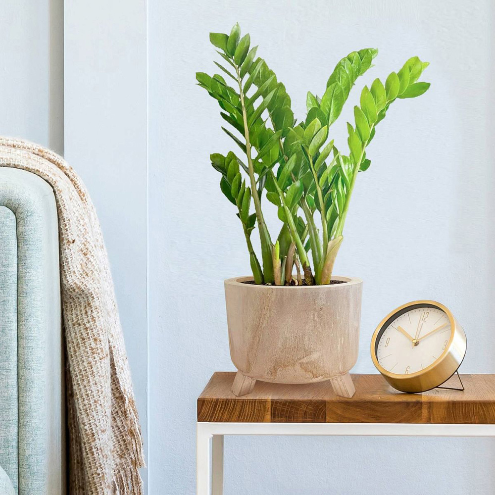 LECHUZA Hortico Grower Wooden Round Indoor Plant Pot 19 x 24cm 2 Pack Image 2