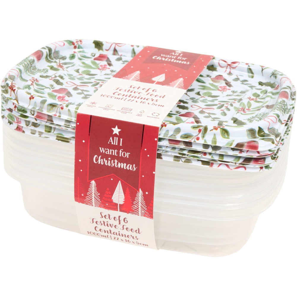 Pack of 6 Festive Robin or Santa Food Containers Image 7