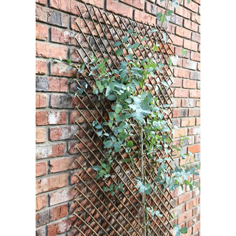 Samuel Alexander Tom Chambers Expanding Willow Panel Garden Trellis 180 x 60cm Image 3