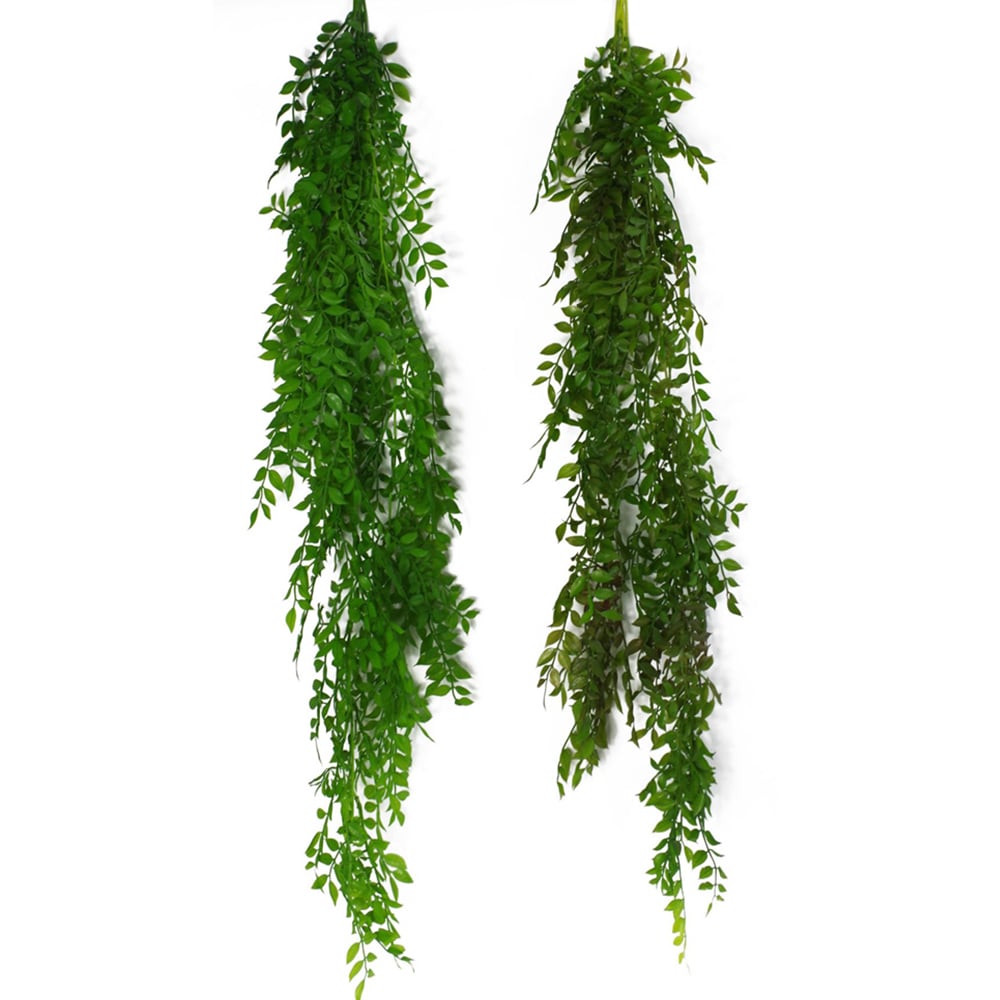 Leaf Dark Green Fern Hanging Pearls Plant 100cm 6 Pack Image 3