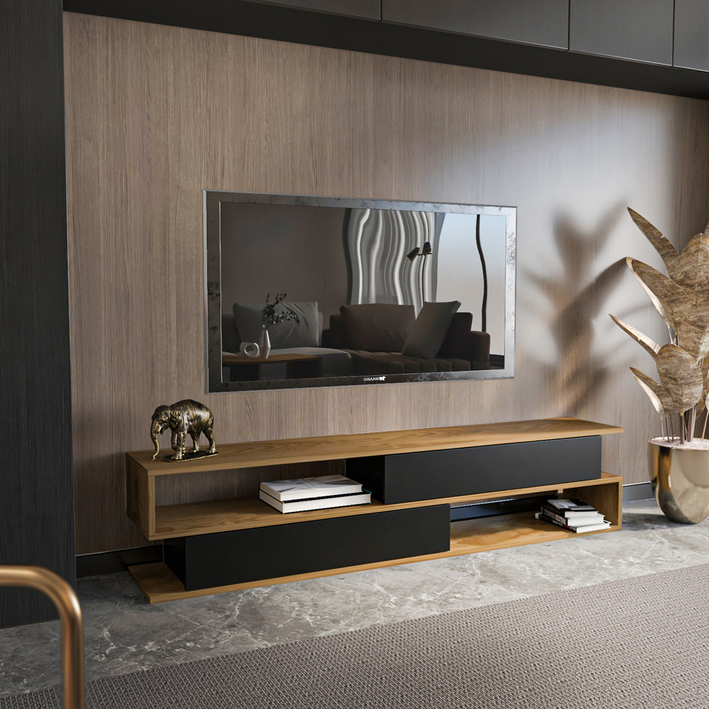 Decorotika Cortez 2 Door 2 Shelf Black and Oud TV Unit Image 7
