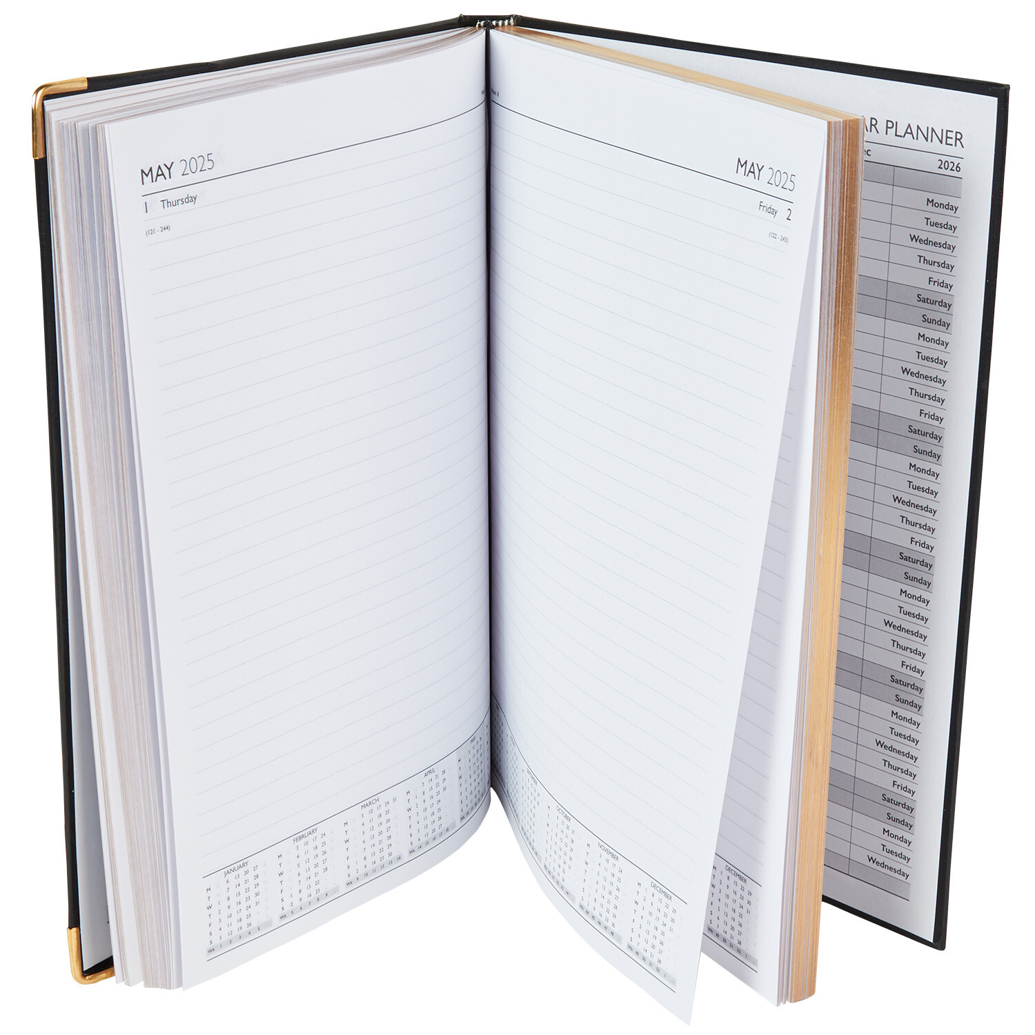 2025 DAP Diary A4 Image 6