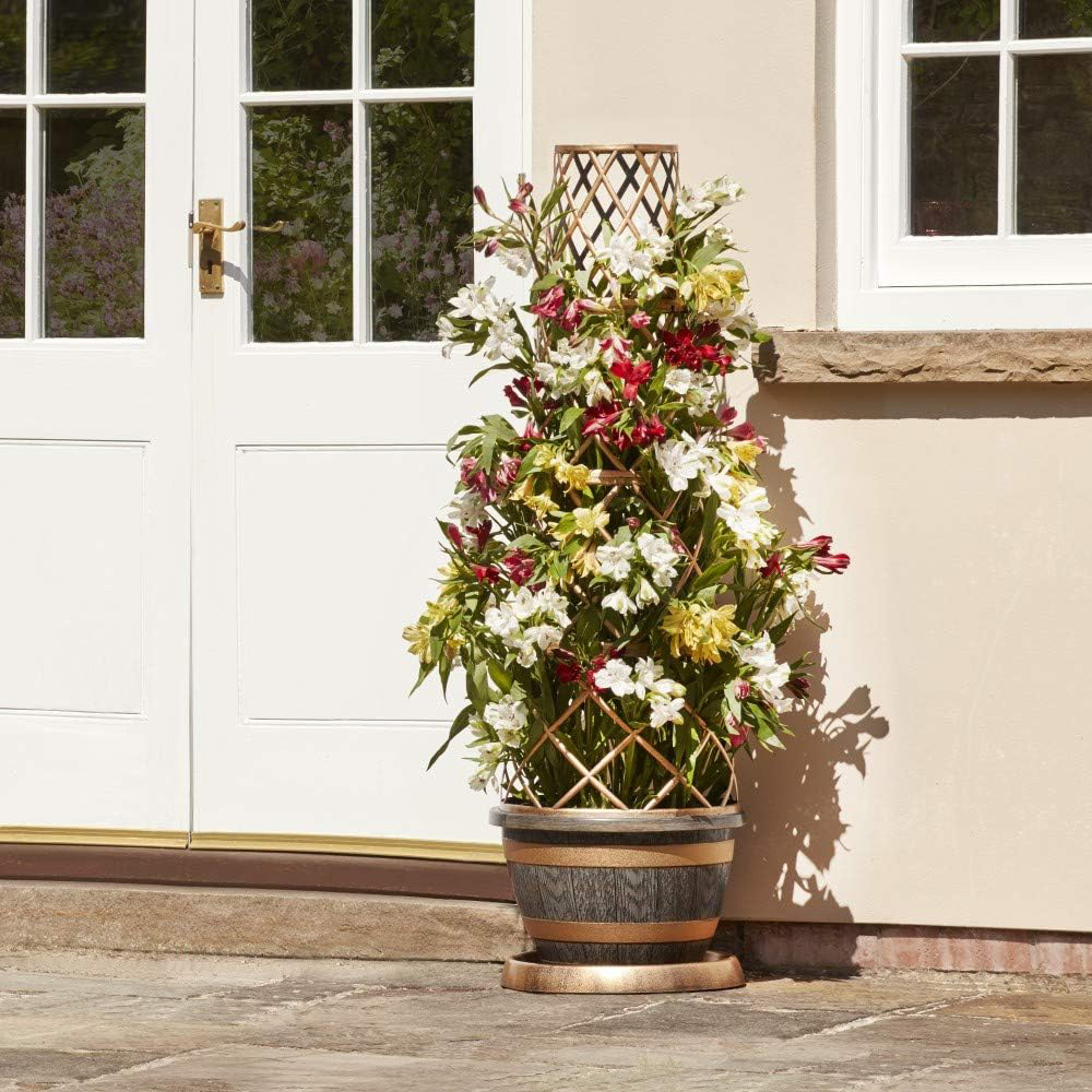 Thompson and Morgan Wooden Barrel Effect Tower Pot 24cm Image 5