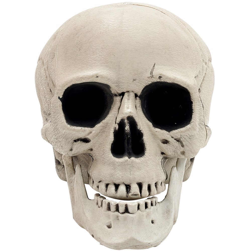 Living and Home Halloween 28 Piece Realistic Skull and Bone Skeleton Image 3
